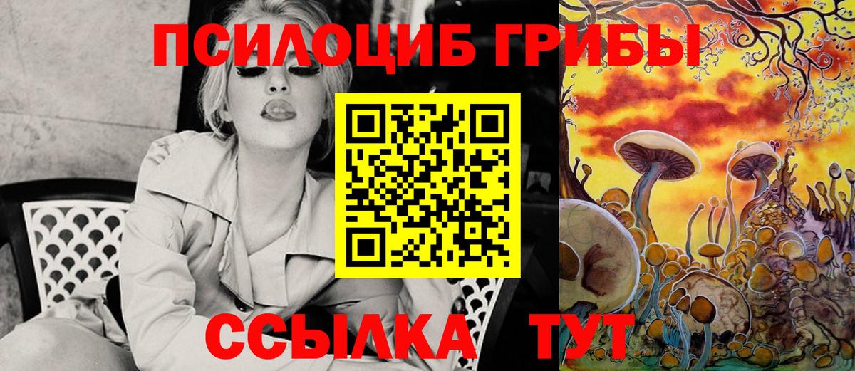 Ачхой-Мартан  Псилоцибиновые грибы GOLDEN TEACHER  Псилоцибиновые грибы MAGIC MUSHROOMS  Вход с VPN 